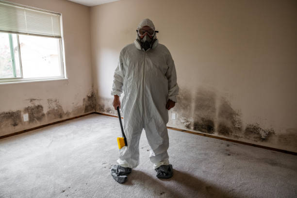 Crawl Space Mold Removal in Newport, NC